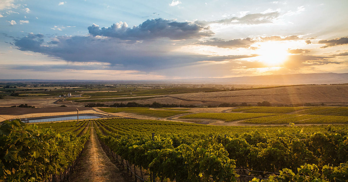 Helix Wines