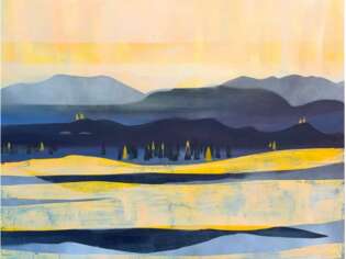 Janet Fagen 1